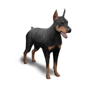 Behemoth